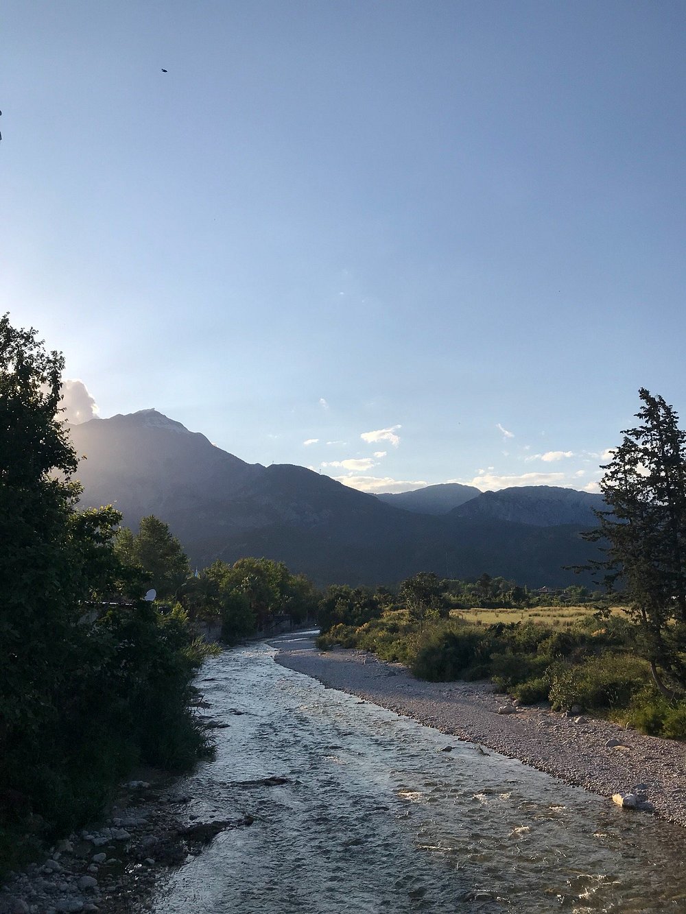 ARMAS KAPLAN PARADİSE